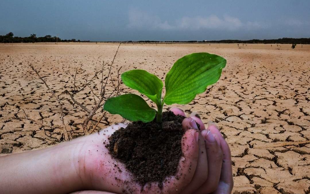Verkkoryhmä – Vanhemmille, lapsella tai nuorella psyykkistä oireilua