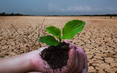 Verkkoryhmä – Vanhemmille, lapsella tai nuorella psyykkistä oireilua
