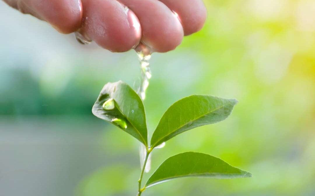 Verkkoryhmä – Vanhemmille