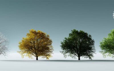 Haavoittunut sukupuu 3/3